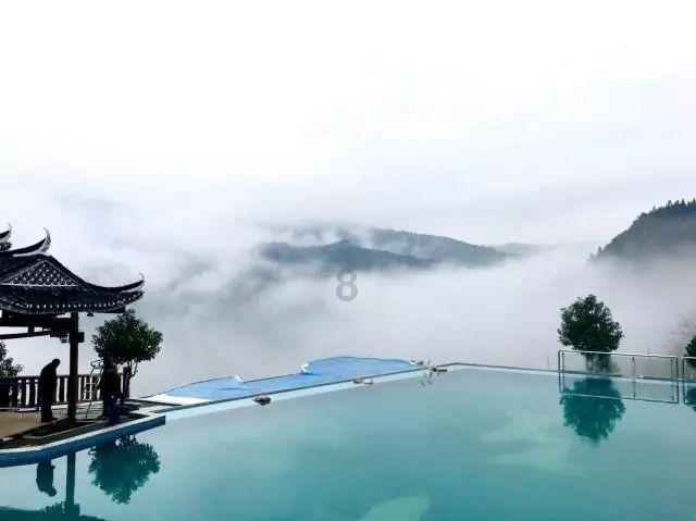 虫虫助手下载
